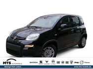 Fiat Panda, 4.9 Hybrid 70PS City Pak Finanzierung, Jahr 2024 - Oberursel (Taunus)