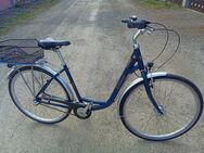 28" Damenfahrrad - Senftenberg