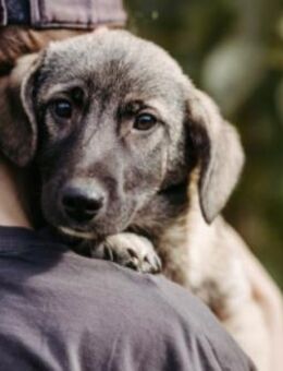 freundlicher, lieber Unai - Kallmünz