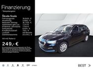 Skoda Scala, 1.0 TSI AMBITION 16ZOLL, Jahr 2024 - Mühlheim (Main)