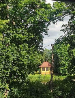 Traumhafte Eigentumswohnung / 16m² Balkon / HWR / TOP-Lage mit Blick in den grünen Schlosspark - Senftenberg