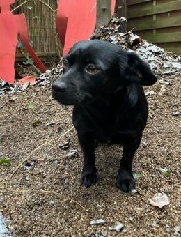 Funny 💗 wartet in 50674 Köln auf dich - Hamburg