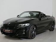 BMW 230, i Cabrio M Sport H&K el S, Jahr 2020 - Paderborn