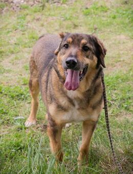 SANAJ - gern aktiv sein im Alter - Overath