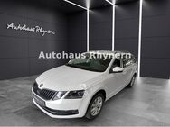 Skoda Octavia Combi III 2.0 TDI 110kW DSG Style - Hamm