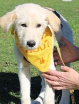 Rasmus ist einfach zum Dahinschmelzen - München