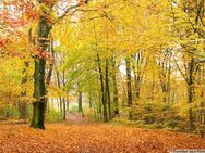 Möchten Sie direkt an der Dölauer Heide wohnen? - Halle (Saale)