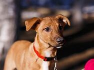 Erius❤️sucht Pflege- oder Endstelle - Rott (Inn)