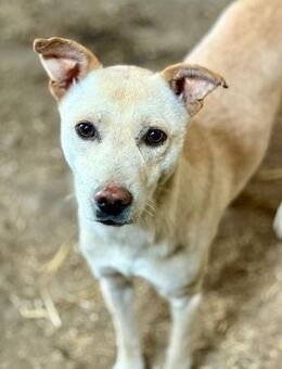 Ailo, offen und neugierig - Bochum