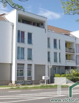 ** Top-Wohnung am Wildpark und Cospudener See ** - vermietet! - Leipzig
