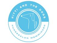Erstberatung bei Kitti and the Dogs - Hundesalon Memmingen - Memmingen