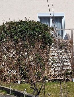 Schaffen Sie sich Ihr Eigenheim! Renoviertes RMH mit Garten zu verkaufen - Regensburg