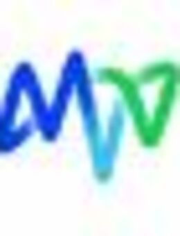 Senior Energiemanager - Datenmanagement (m/w/d) - Mannheim