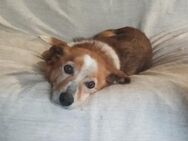 Lola, charmante Seniorin sucht Liebe - Berlin