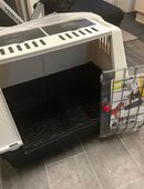 Transportbox in 66386