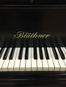 Verkaufe Blüthner Flügel Model 6 in 12623