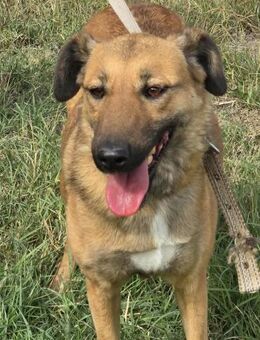 Klug sehr menschenbezogen sozial ♥️ KAYA - München