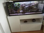 Terrarium komplett mit Leopard Gecko abzugeben - Gülzow-Prüzen