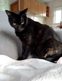 Notfellchen Celia (ALM) - Geisenheim