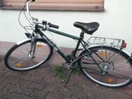 Fahrrad zu Verkaufen - Hanau (Brüder-Grimm-Stadt)