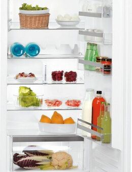 BAUKNECHT Einbaukühlschrank BKSI 12VF3D, 122 cm hoch, 55,7 cm breit, Dynamic Intelligence