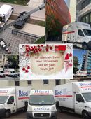 Umzug, Renovierung, Lagerung aus 1 Hand vom Bösel Römerberg "Nicht verzagen den Bösel fragen !!!" in 67354