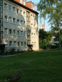 Ab 01.02. frei! 2-Zimmer-Wohnung in Düsseldorf Bilk - Düsseldorf