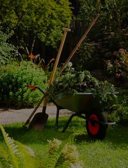 Wir bieten diverse Gartenarbeiten an - Hamburg