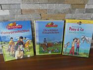Kinderbücher, Ponybücher, Ponygeschichten Pony und Co - Garbsen