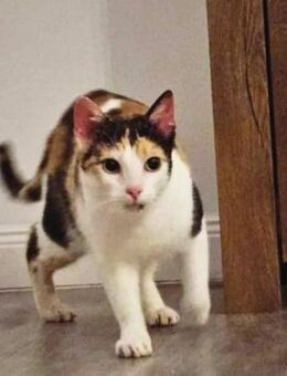 Rita mutig lieb Kuschelig - Rambin