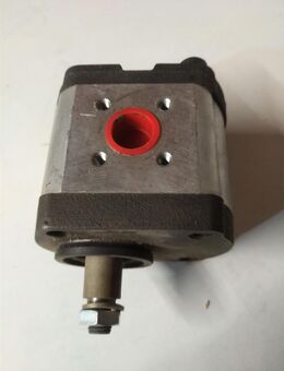 Hydraulik Pumpe Bosch - Büdingen