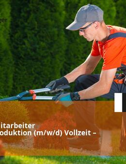 Florist / Mitarbeiter Blumenproduktion (m/w/d) Vollzeit – Berlin - Berlin