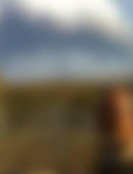 Alf*** - Offenbach (Queich)