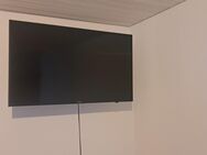 Nur Heute 6.6 für 140 € Samsung 43 Zoll TV Internet tauglich !! - Freudenberg (Baden-Württemberg)