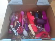 Kiste mit Sextoys - Berlin