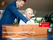 Werkstudent:in Organisation (m/w/d) - Ulm