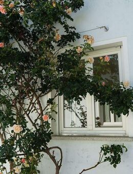 Hier stimmt Preis & Leistung / Schmuckes Landhaus OT Waldkirchen - Waldkirchen