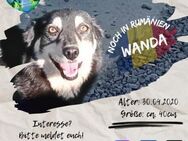 WANDA - Liebe findet immer einen Weg - Waakirchen