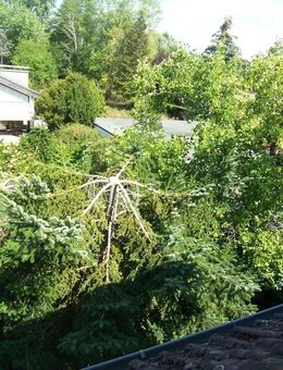 WIEDER DA! BITTE TEXT LESEN !! 3-Zimmer + Essdiele im 3-Familienhaus - Mühlheim (Main)