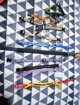 NEUE Halsbänder Halsband Wolters Hunter Emmy und Pepe Konvolut - Sengenthal