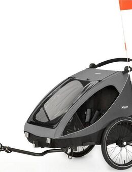 Hauck Fahrradkinderanhänger 2in1 Bike Trailer und Buggy Dryk Duo, grau, für 2 Kinder, inklusive Deichsel