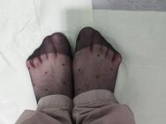 Stinkende Nylonfüße sowie KV und NS :-) Mann in richtig stinkenden und zerrissenen Nylons lässt sich seine stinkenden Füße verwöhnen, massieren, riechen und ablecken ist möglich. Angebot für Nylon Fußfetischisten, und, mobilen Klos aber nicht nur :-) - Bonn