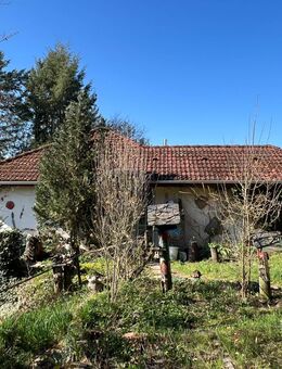 Top-Gelegenheit! Ferienhaus im Erholungsgebiet von Feilbingert zu verkaufen! - Feilbingert