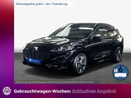 Ford Kuga 2.0 EcoBlue Aut. ST-LINE X - Hannover