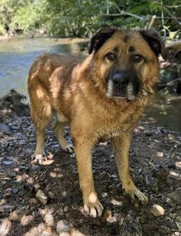 Strimon - Weilmünster