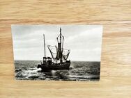 Ansichtskarte-Ak-214- Nordseeinsel Föhr. Fischerboot. - Nörvenich