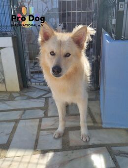 Tim sucht sein Glück - Talkau