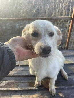 B713 Keeva ich habe überlebt😔 - Neuberg