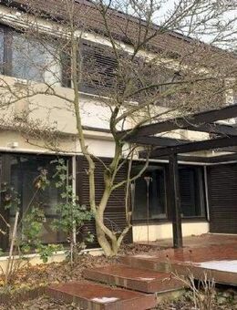 Bauhaus-Villa mit Weitblick, Einbauküche ab sofort, Sauna - Würzburg