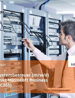 Inhouse Systembetreuer (m/w/d) Schwerpunkt Microsoft Business Central (BC365) - Melle